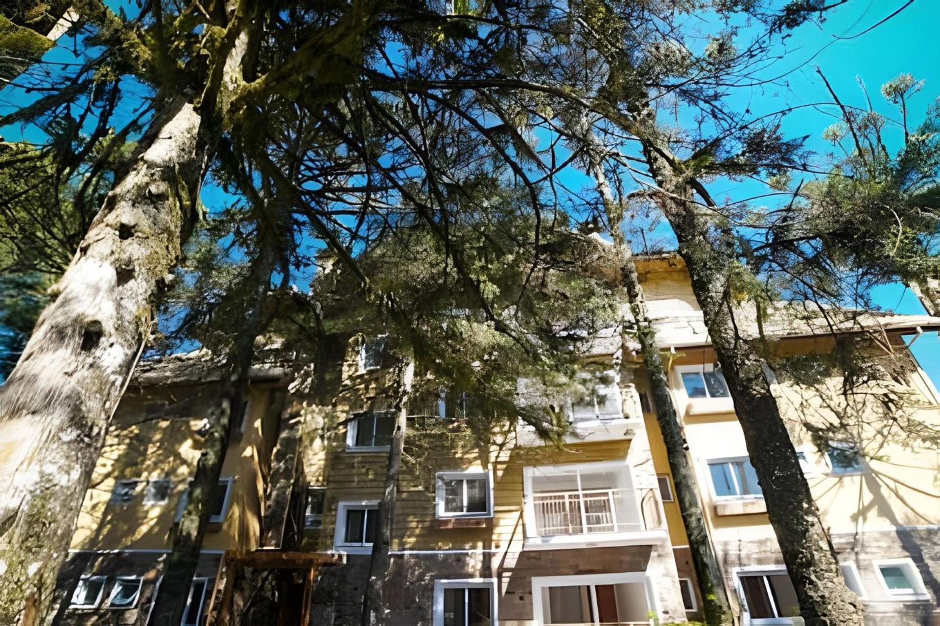 Apto. Luxo Próx. Centro De Gramado Exterior foto